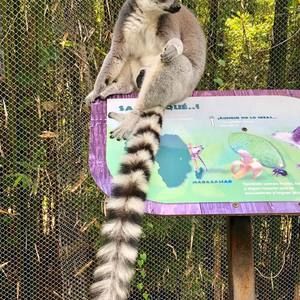 Meet your Posher, Ivan